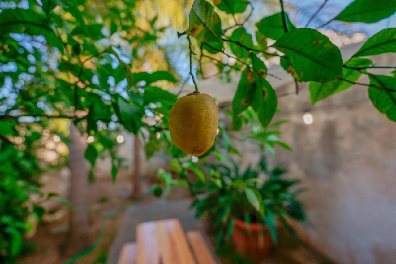 Bed And Breakfast Cairoli Exclusive Room San Pietro Vernotico Buitenkant foto
